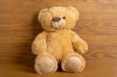 Oyuncak ayı ahşap zemini ve duvarı olan bir evde oturuyordu..