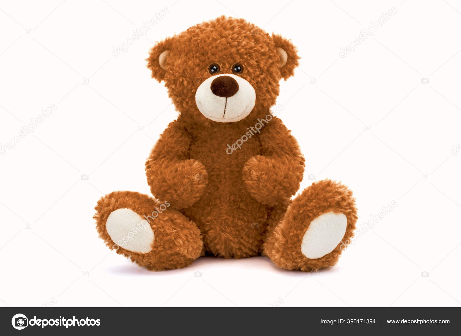 Teddy Bear Brown Color Soft Toy Shadow White Background Stock Photo by