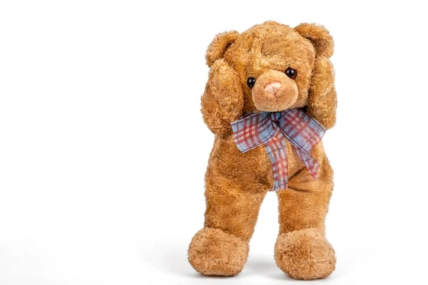 Teddybär Auf Weißem Hintergrund Gestoppt — Stockfoto
