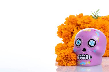 Beyaz arka planda tipik Meksika kafatası ve cempazuchitl çiçekleri kompozisyonu.