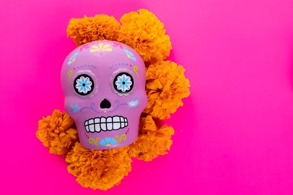 Komposition Mit Typisch Mexikanischem Totenkopf Und Cempazuchitl Blüten Auf Leuchtend — Stockfoto