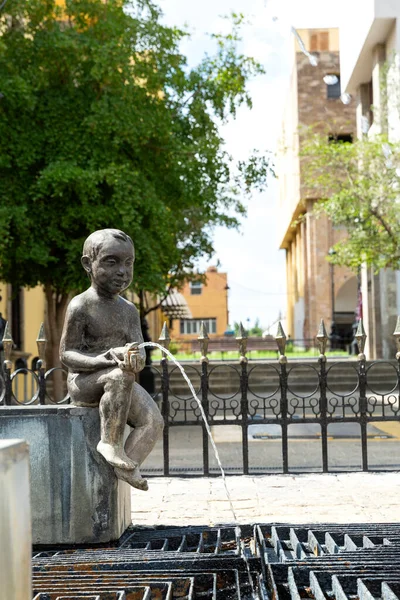 Kinder Brunnen Beim Wasserlassen Architektur Und Denkmäler Der Stadt Guadalajara — Stockfoto