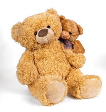 Beyaz arka planda küçük ayıcığı olan oyuncak ayı.