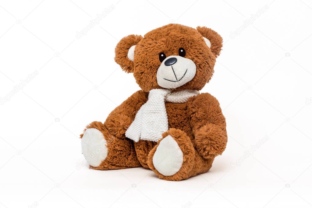 Teddy bear soft toy on white background.
