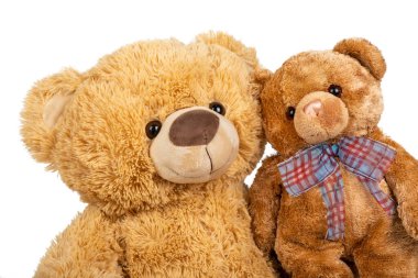 Beyaz arka planda küçük ayıcığı olan oyuncak ayı.