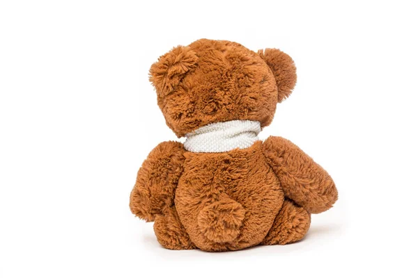 Teddy Bear Back Soft Toy White Background — Stock Photo, Image