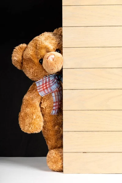 Teddy bear standing indoors with a wooden floor and wall.