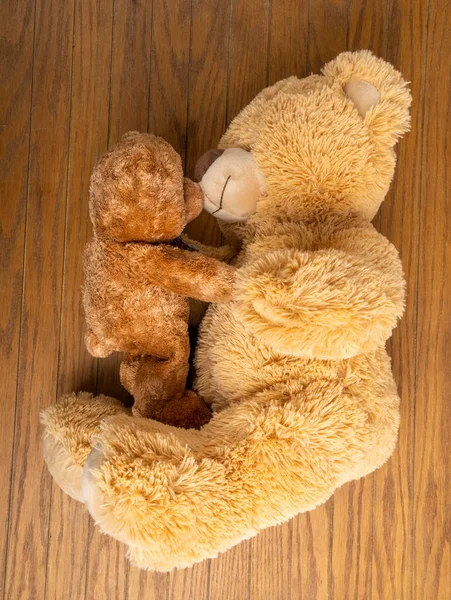 Teddy bear with little bear indoors in a wooden floor and wall.