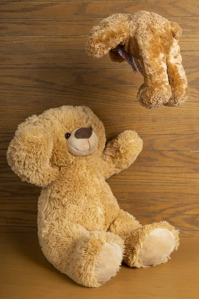 Teddy bear with little bear indoors playing throw it in a wooden floor and wall.