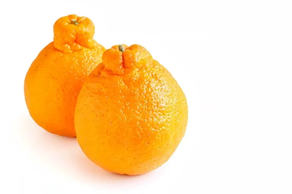 Beyaz arka plan üzerinde taze Sumo Mandarin 