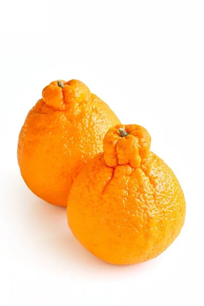 Beyaz arka plan üzerinde taze Sumo Mandarin 