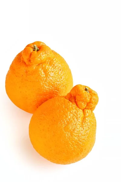 Beyaz arka plan üzerinde taze Sumo Mandarin 