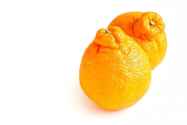 Beyaz arka plan üzerinde taze Sumo Mandarin 