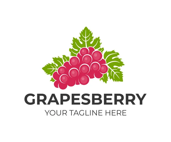 Bobule Hroznů Ovoce Hrozen Listy Logo Šablona Vinohradnictví Vinařství Zemědělství — Stockový vektor