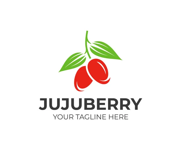 Jujube Φρούτων Πρότυπο Λογότυπο Unabi Berry Διανυσματική Σχεδίαση Φρέσκο Τζιτζιφιές — Διανυσματικό Αρχείο