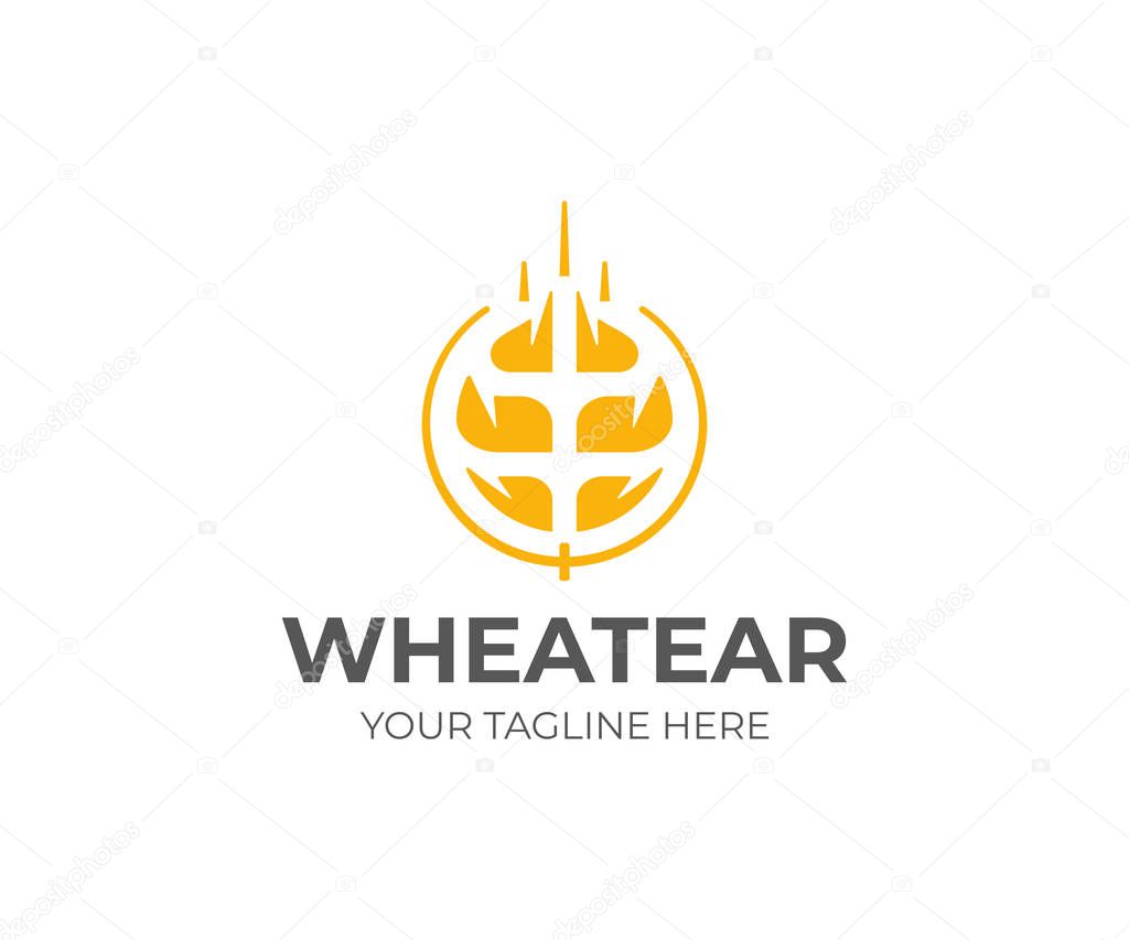 Grain wheat logo template. Round wheat ear vector design. Paddy rice plant logotype
