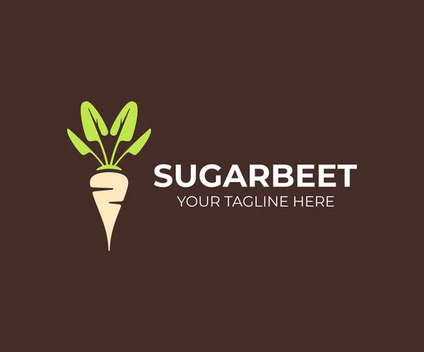 Sugar Beet Plant Logo Design Sugarbeet Root Vector Design Beetroot — Stock Vector