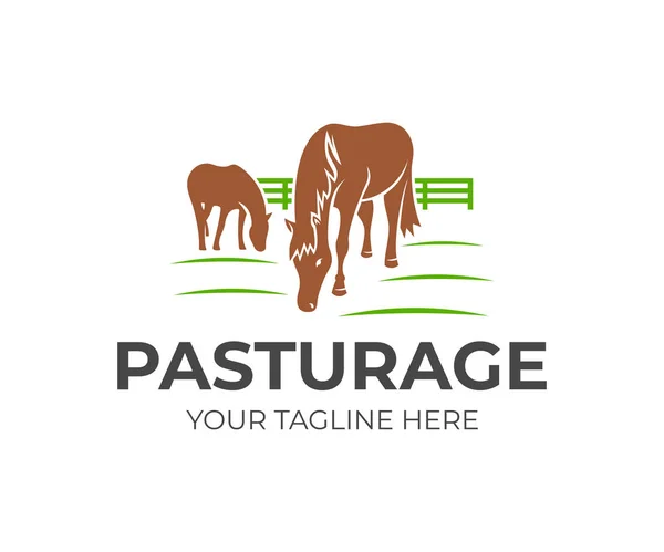 Pâturage Chevaux Avec Clôture Logo Design Animaux Animaux Compagnie Ferme — Image vectorielle