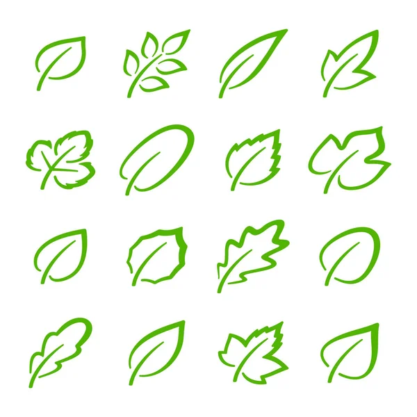 Eenvoudige Set Van Lineaire Groene Bladeren Vector Iconen Bevat Deze — Stockvector