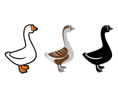 White goose, gray goose and goose silhouette, logo design. Bird, animal, pet and poultry, vector design and illustration clipart