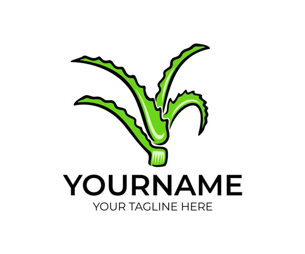 Aloe Vera Bitkileri Logo Tasarımı Doğa Aloe Yaprakları Kozmetik Tıbbi — Stok Vektör