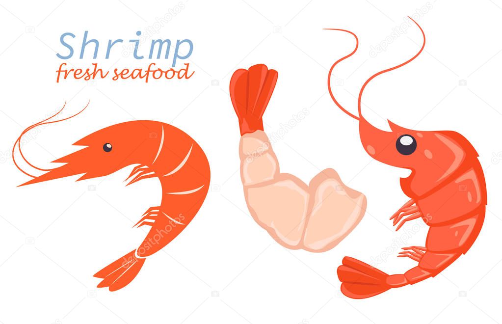 Cartoon shrimp fresh seafood