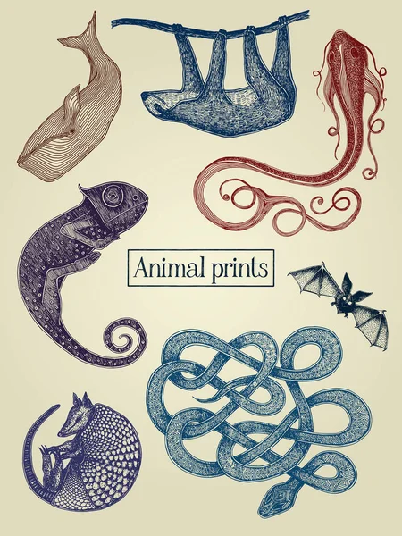 Illustrations Animalières Sur Fond Vintage — Image vectorielle