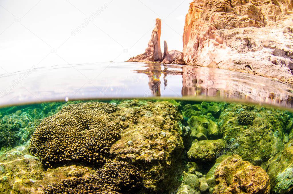 Coral reef scenics of the Sea of Cortez, Baja California Sur, Mexico. 