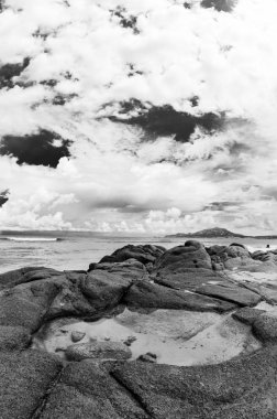 Bakış gelen bay, Cabo denizin Baja California sur Meksika çölün birleştiği Pulmo,.