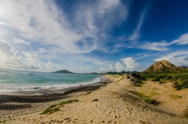 Bakış gelen bay, Cabo denizin Baja California sur Meksika çölün birleştiği Pulmo,.