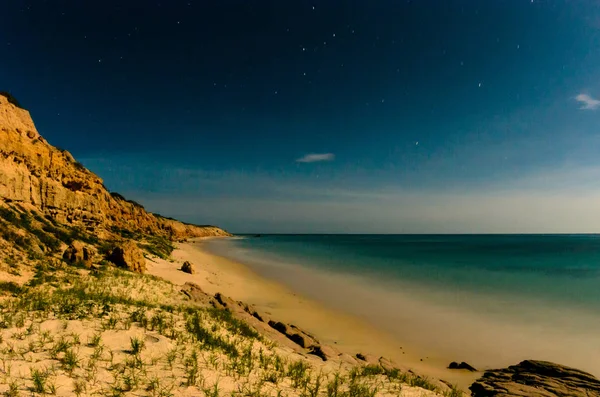 Scenics Від Пляжів Море Кортеса Пустелі Зустріне Море Нижня Каліфорнія — стокове фото