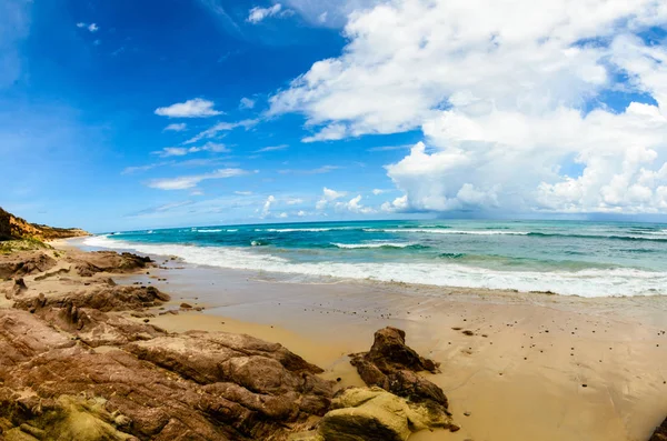 Scenics Van Baai Van Cabo Pulmo Waar Woestijn Aan Zee — Stockfoto