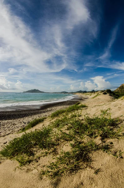 Escenarios Bahía Cabo Pulmo Donde Desierto Encuentra Con Mar Baja — Foto de Stock