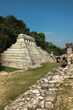 Palenque kalıntıları, Chiapas, Meksika.