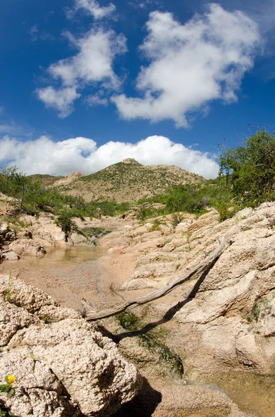 Rock Desert Creeks Mexico — Stock Photo, Image