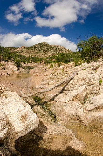 Rock Desert Potoků Mexiko — Stock fotografie