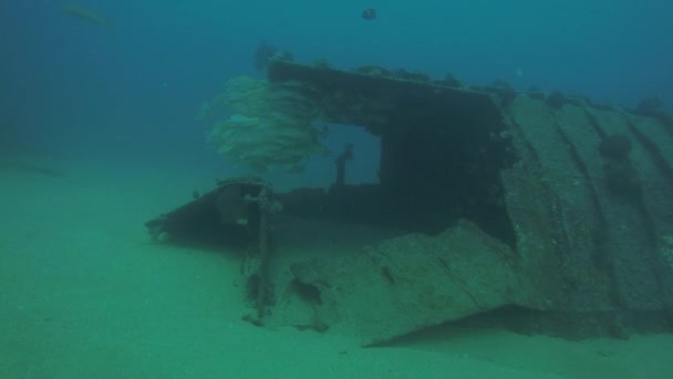 Schipbreuk Cabo Pulmo Mexico — Stockvideo