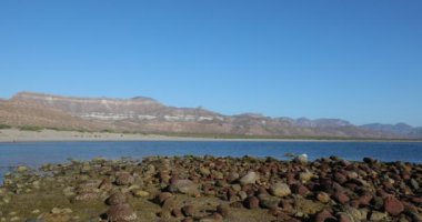 Meksika 'nın Baja California kıyısındaki çöl sahili. Cortez denizi.