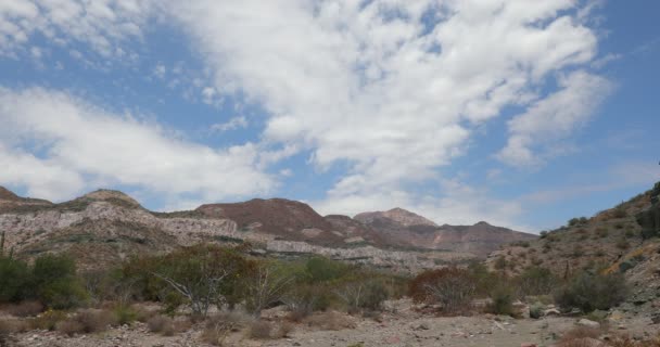 Scenics Baja California Sur Autiomaassa Meksikossa — kuvapankkivideo