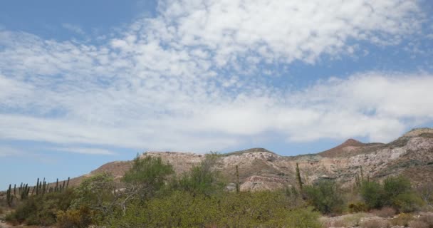 Meksika Daki Baja California Sur Çölünün Manzaraları — Stok video