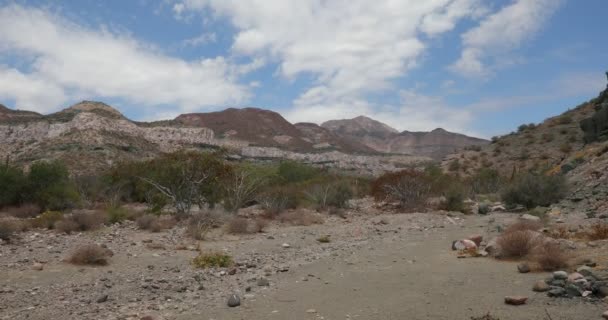 Natursköna Baja California Sur Öknen Mexiko — Stockvideo