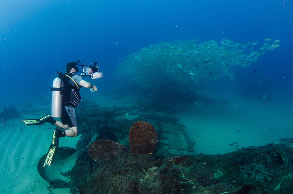 Diver interacting with wildlife on the reefs of cabo pulmo national park, baja california sur, mexico,sea of cortez,
