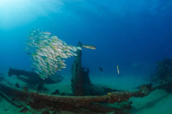 Shots Vencedor Shipwreck Cabopulmo National Park Mexico — Stock Photo, Image