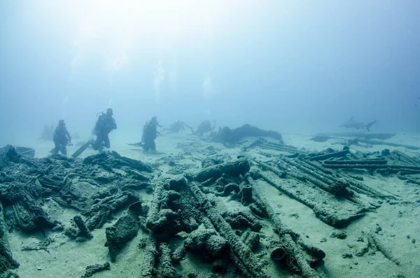 Bull Shark Carcharhinus Leucas Werkt Samen Met Duikers Riffen Van Stockfoto