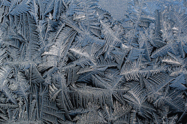 Frost patterns on a window