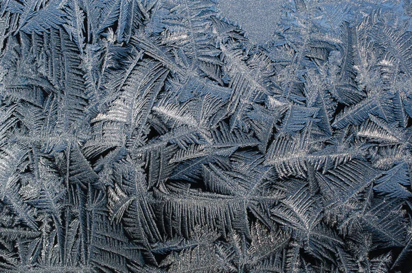 Frost mönster på ett fönster Stockbild