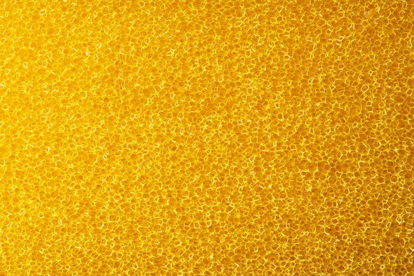Makro Trieb Des Gelben Küchenschwammes — Stockfoto
