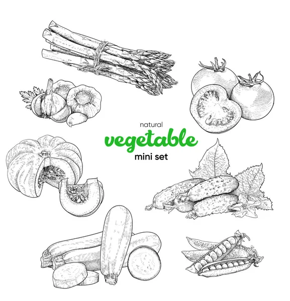 Натуральный Овощной Мини Набор Винтажный Ручной Рисунок Векторной Иллюстрации Линейная — стоковый вектор
