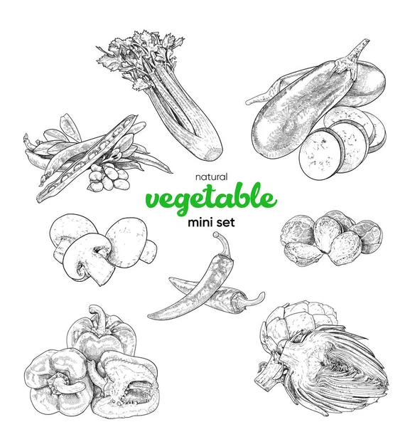 Mini Set Légumes Naturels Illustration Vectorielle Croquis Dessin Main Vintage — Image vectorielle