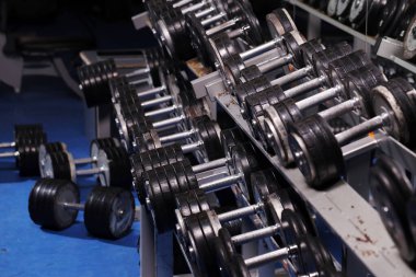 Farklı ağırlıklardan farklı dambıllarla kurulmuş bir düzenek.